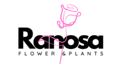 Ranosa Flowers